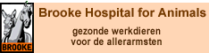Bezoek de website van Brooke Hospital for Animals https://www.brooke.nl/